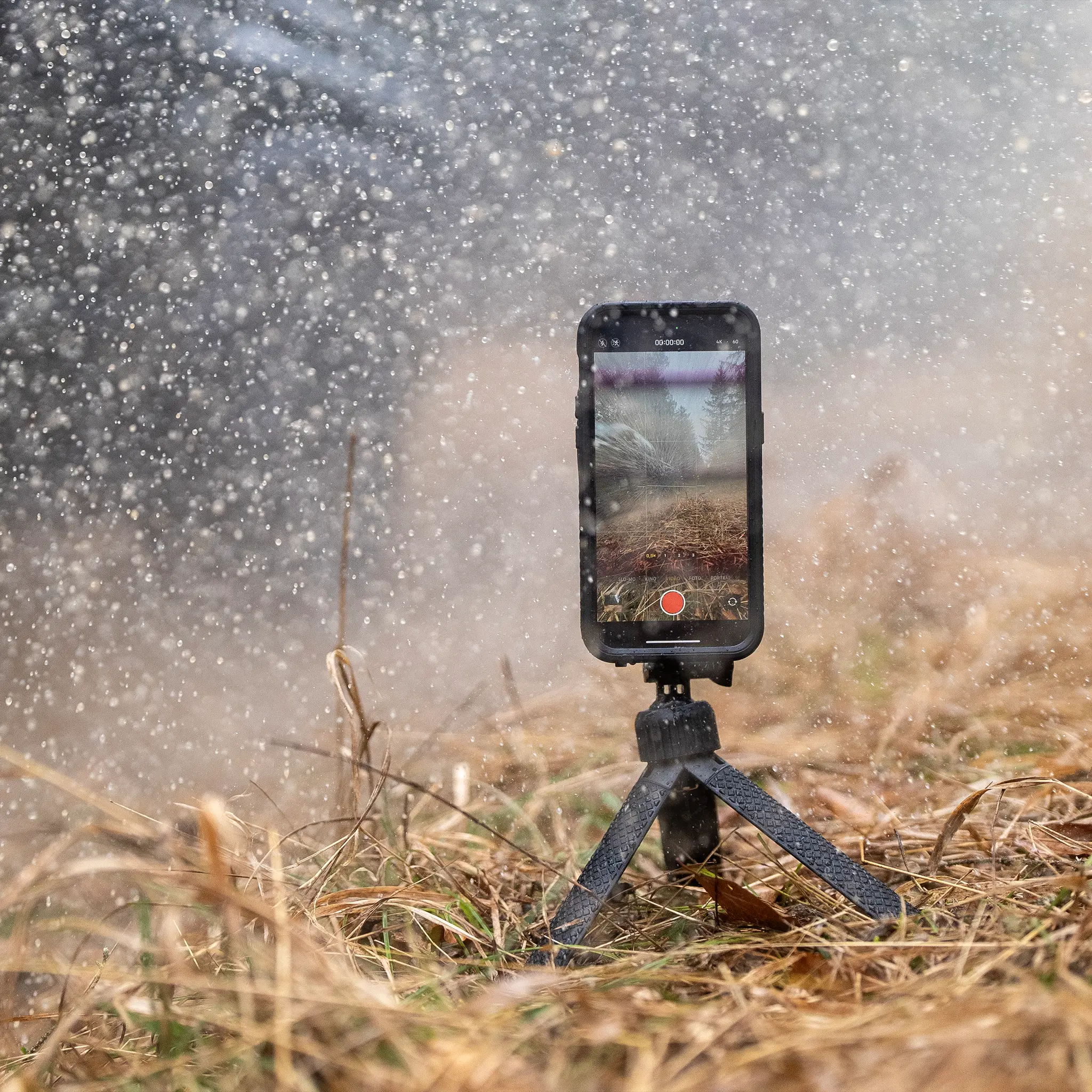 Phone Case - Apple - Image 117